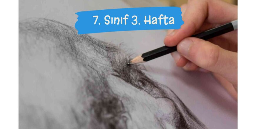7.sınıf 3.hafta