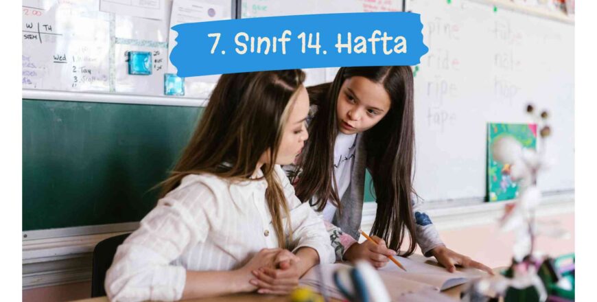 facebook_post_school_education_variety_kit (16)