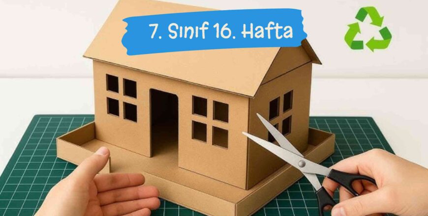 facebook_post_school_education_variety_kit (18)