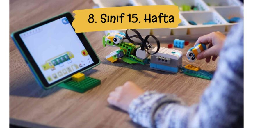 facebook_post_school_education_variety_kit (30)