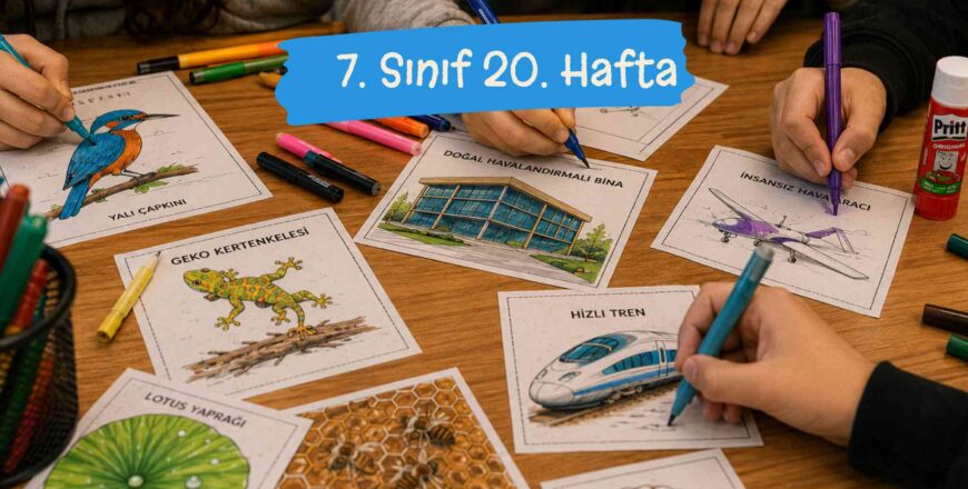 facebook_post_school_education_variety_kit (42)
